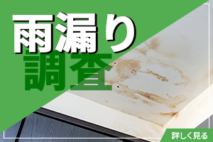雨漏り調査